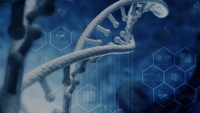 糖尿病体质膏方：揭秘代理费用背后的真相**